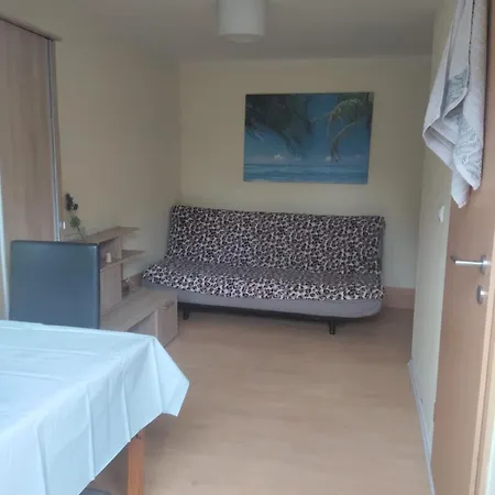 Helle Direkt In Zentrum Daire